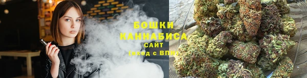 сатива Медвежьегорск