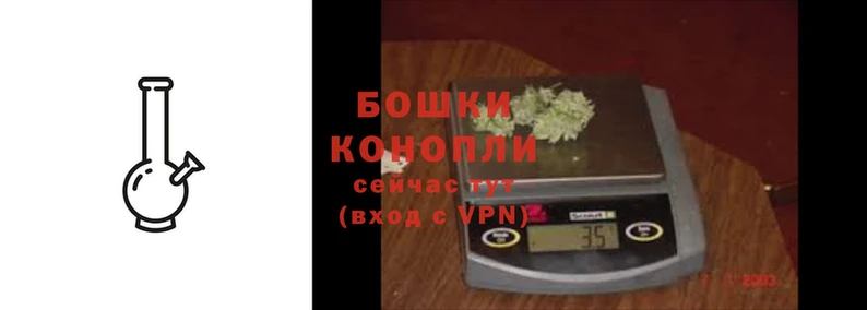 сатива Медвежьегорск