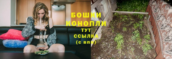 гидра Медногорск