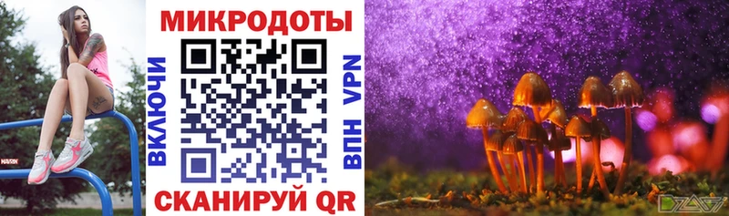 хочу   Щучье  Псилоцибиновые грибы мицелий 